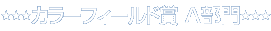J[tB[h A