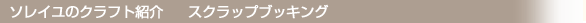 \C̃NtgЉ@XNbvubLO